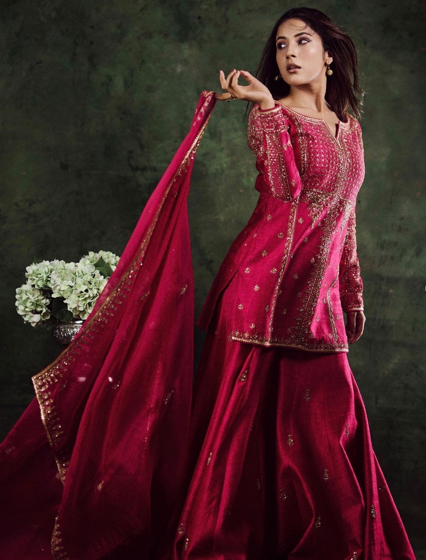 shehnaaz gill shehnaaz gill