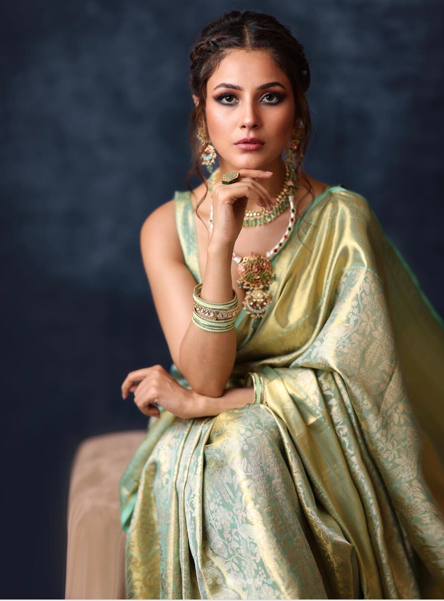 shehnaaz gill shehnaaz gill