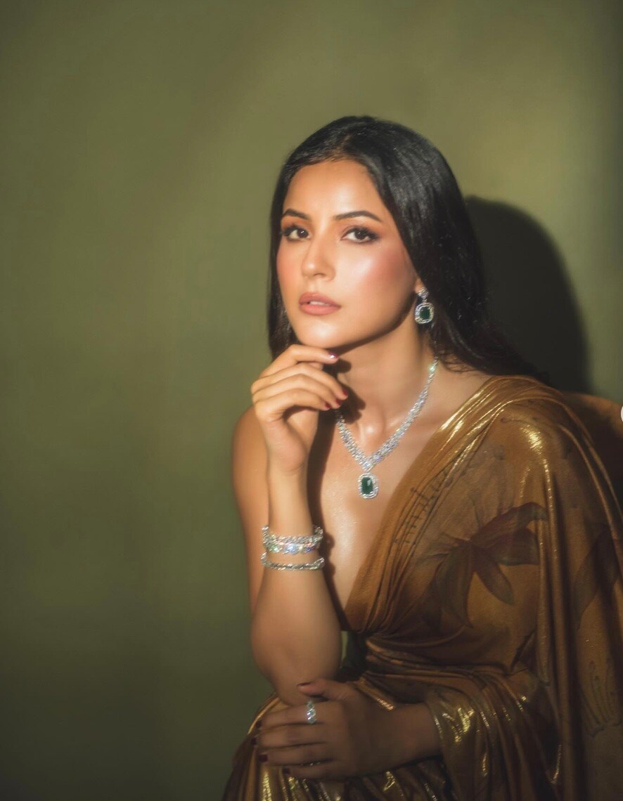 shehnaaz gill shehnaaz gill