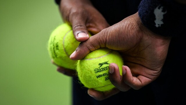 The tennis balls act as a safe house for mice. (AFP Photo)