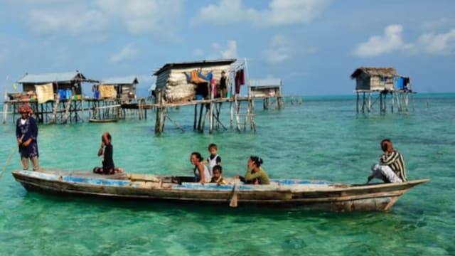The Bajau community, sea nomads from Southeast Asia, also displays remarkable healing properties. (News18 Hindi)