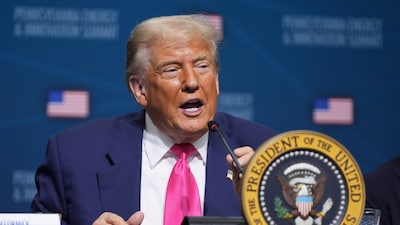 US President Donald Trump (AP/File)