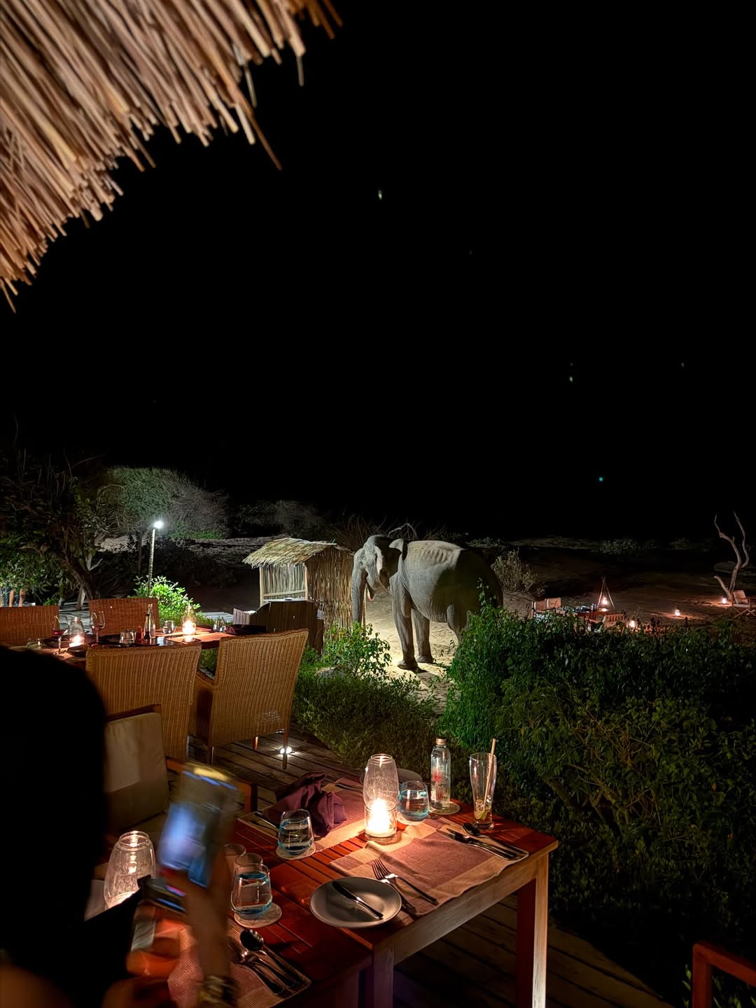 Vijay Varma’s Surprise Dinner Companion In Sri Lanka