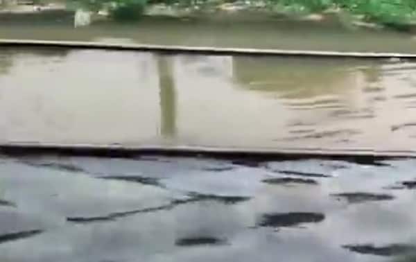 Mumbai Rains Local Train Mumbai Rains Highlights: 'Red Alert' Issued For City Until Sunday ...