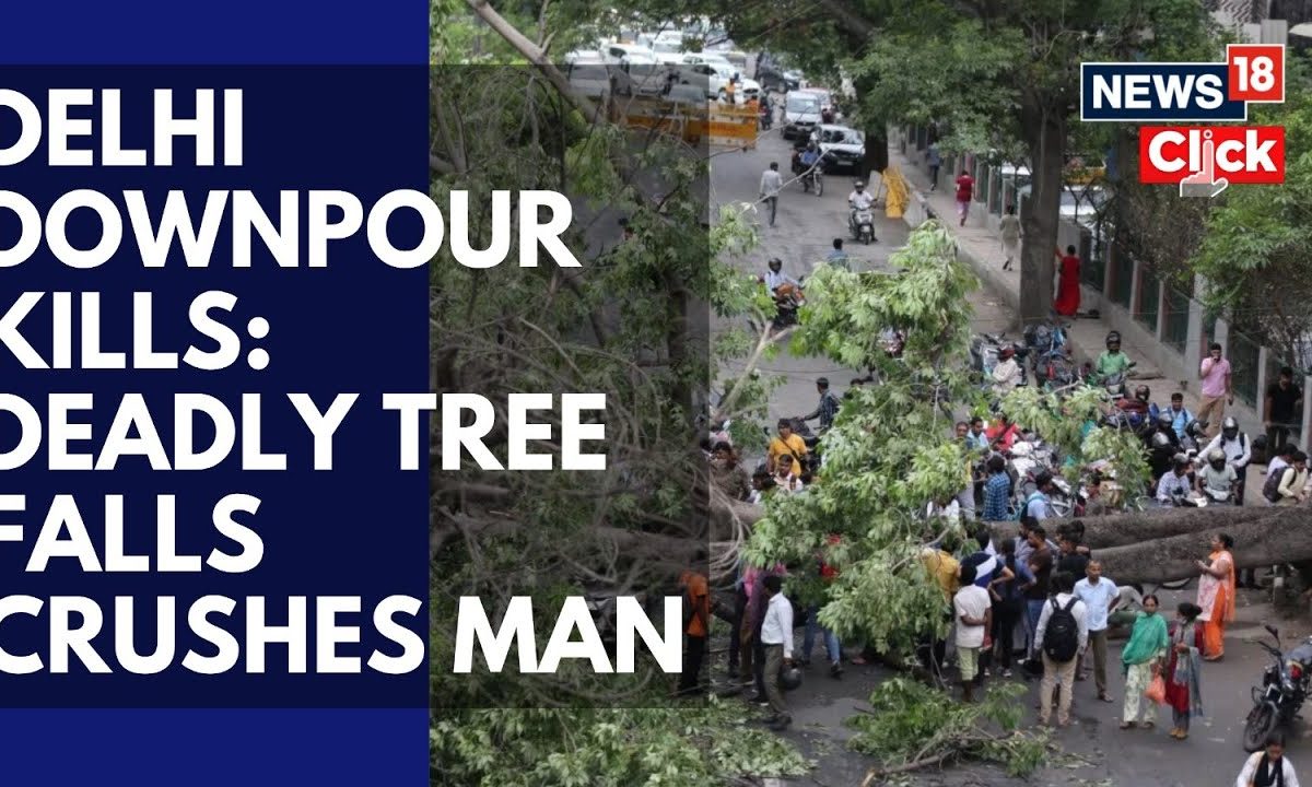  Man Killed As Tree Topples Amid Delhi Downpour | Kalkaji Accident | News18
