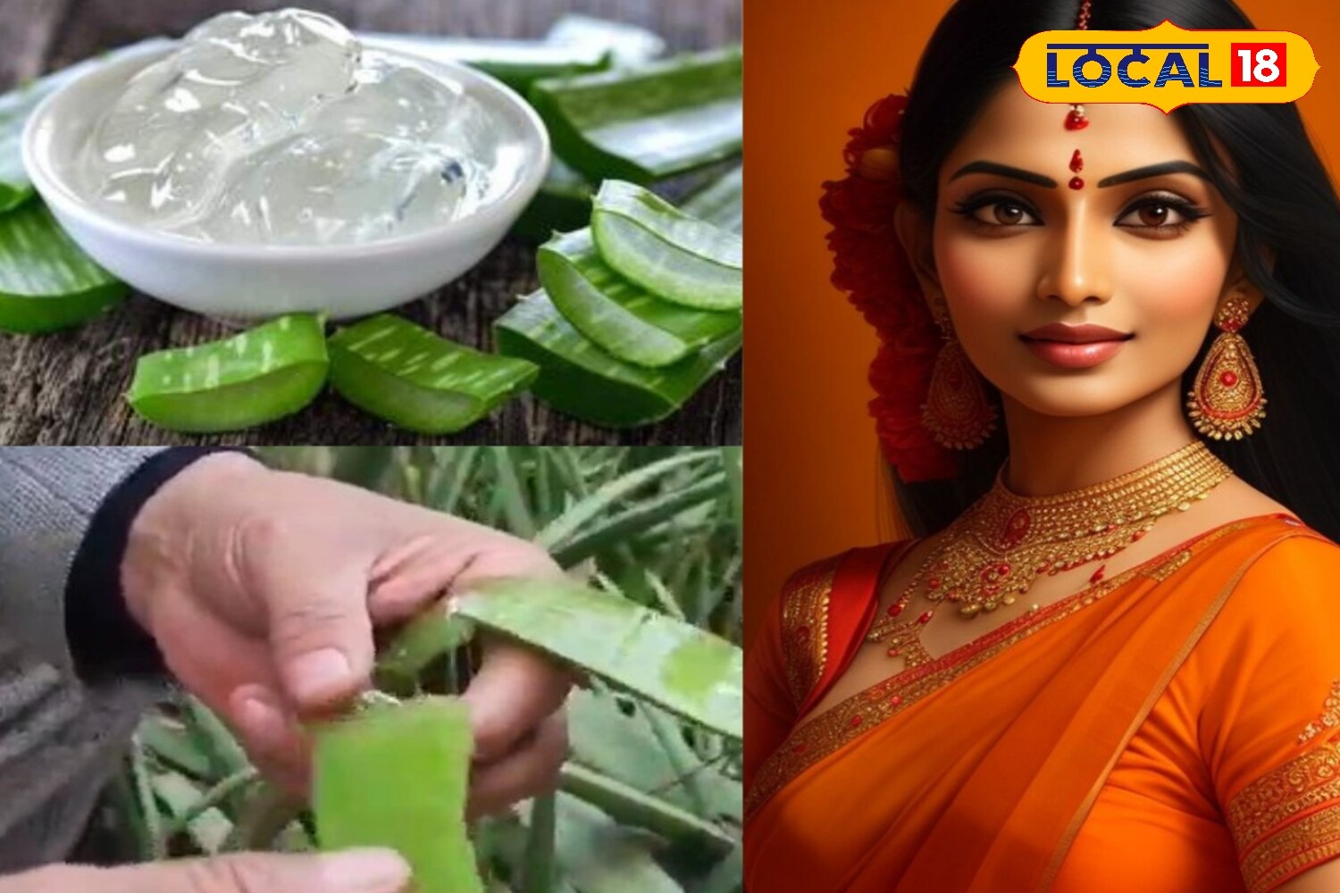 मेरठ, एलोवेरा जेल, आयुर्वेदिक प्रकृति, सुंदरता, चेहरा, उपयोग, एक्सपर्ट, लोकल-18,Meerut, Aloe Vera Gel, Ayurvedic Nature, Beauty, Face, Uses, Expert, Local-18