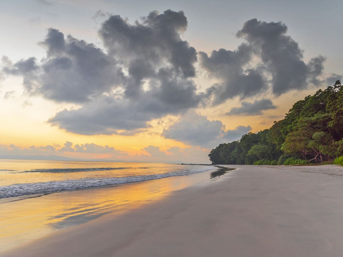 RADANAGAR BEACH, ANDAMAN और NICOBAR ISLANDS: RADHANAGAR BEACH अक्सर एशिया के सबसे खूबसूरत समुद्र तटों के बीच सूचीबद्ध है। अपने ख़स्ता सफेद रेत और हड़ताली नीले पानी के लिए जाना जाता है, इसमें एक आकर्षण है जो आगंतुकों को मुग्ध कर देता है। सूर्योदय और सूर्यास्त के लुभावने दृश्य इसे दुनिया भर के यात्रियों के लिए पसंदीदा बनाते हैं। प्रकृति के प्रति उत्साही लोगों के लिए, यह समुद्र तट शांति में एक आदर्श रिट्रीट प्रदान करता है। (News18 हिंदी)