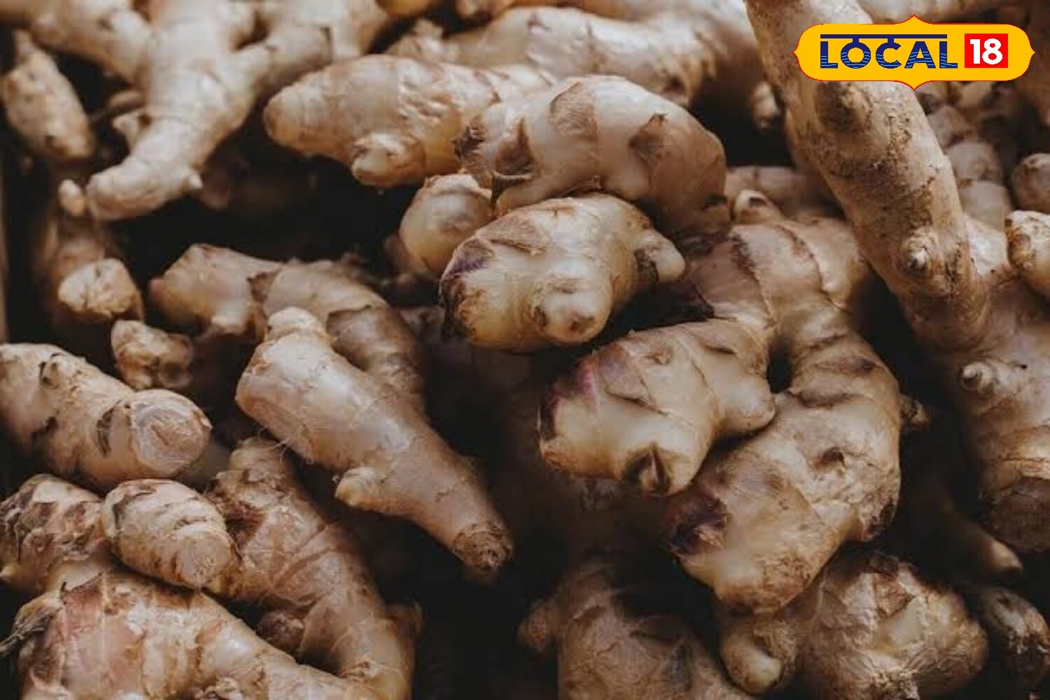 Agricultural scientists note that sandy loam soil with a pH value between 5.6 and 6.5 is best suited for ginger. The crop thrives in temperatures ranging from 25 to 35 degrees Celsius, creating ideal conditions for farmers in the region to diversify and boost their income. (News18 Hindi)