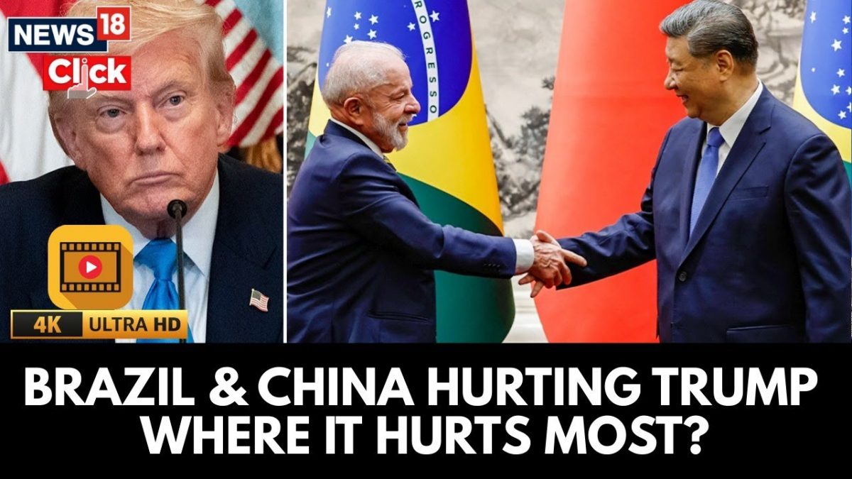 Brazil Replaces US As China’s Top Soybean Partner | Blow To Trump’s Trade Tariff Strategy | N18G