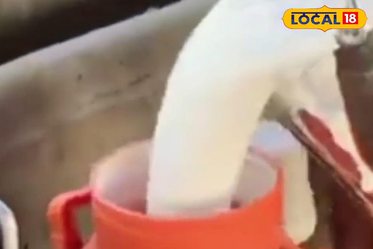 The health of a pregnant cow or buffalo is closely tied to the growth of the fetus. Excessive milk extraction can negatively impact the animal’s health and hinder the proper development of the unborn calf. Limited extraction is recommended to ensure both mother and calf remain healthy. (News18 Hindi)
