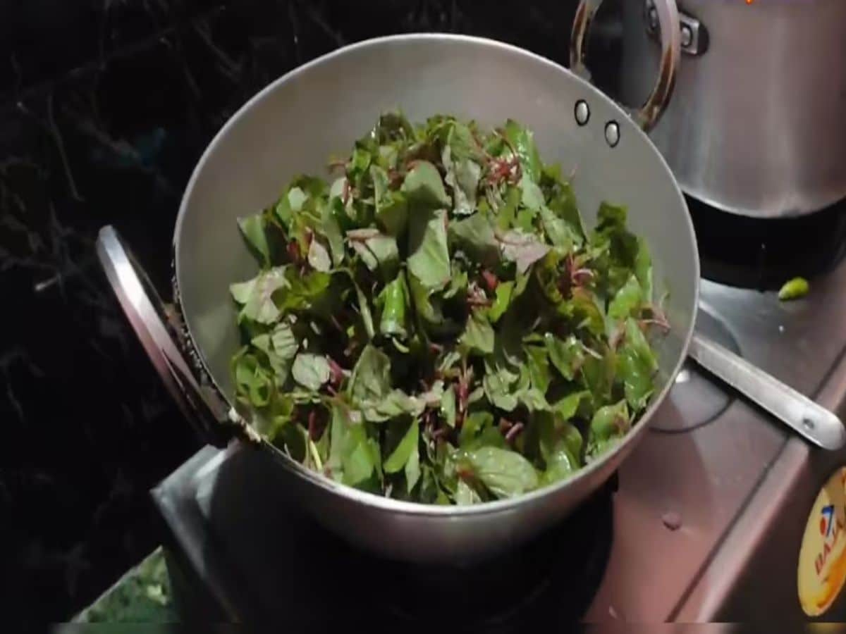 Once the base is ready, add the leafy greens along with salt, turmeric and coriander powder. Mix well and allow it to cook on a low flame for about 15 minutes, stirring occasionally. Within minutes, a wholesome and flavourful dish is ready to be served. (News18 Bengali) Once the base is ready, add the leafy greens along with salt, turmeric and coriander powder. Mix well and allow it to cook on a low flame for about 15 minutes, stirring occasionally. Within minutes, a wholesome and flavourful dish is ready to be served. (News18 Bengali)