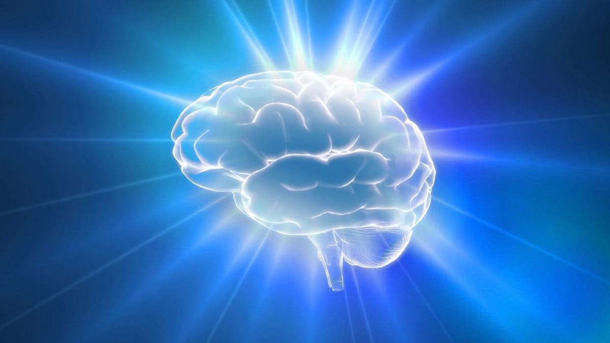 Can Just Two Years Of Lifestyle Changes Really Boost Brain Power?