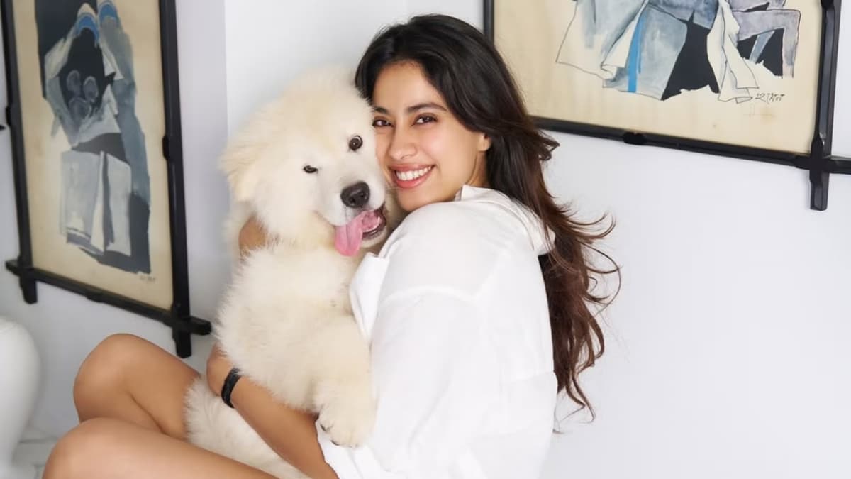 Janhvi Kapoor Strongly Reacts To Mass Killing Of 3 Million Stray Dogs In  Morocco | Bollywood News - News18