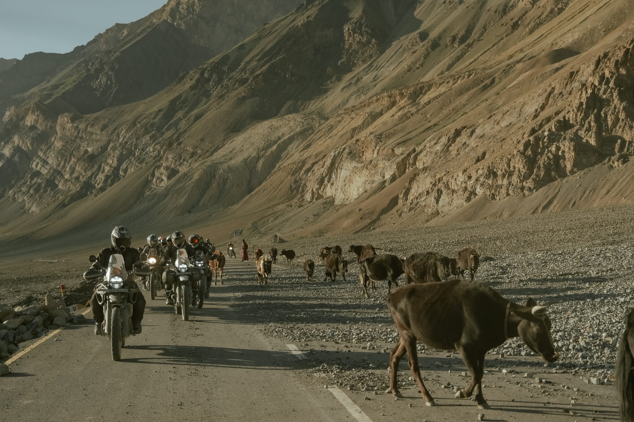 Royal Enfield Himalayan Odyssey 2025. (File photo) Royal Enfield Himalayan Odyssey 2025. (File photo)