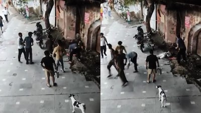 Kalkaji Mandir Delhi: Sewadaar killed by group of men (CNN-News18)