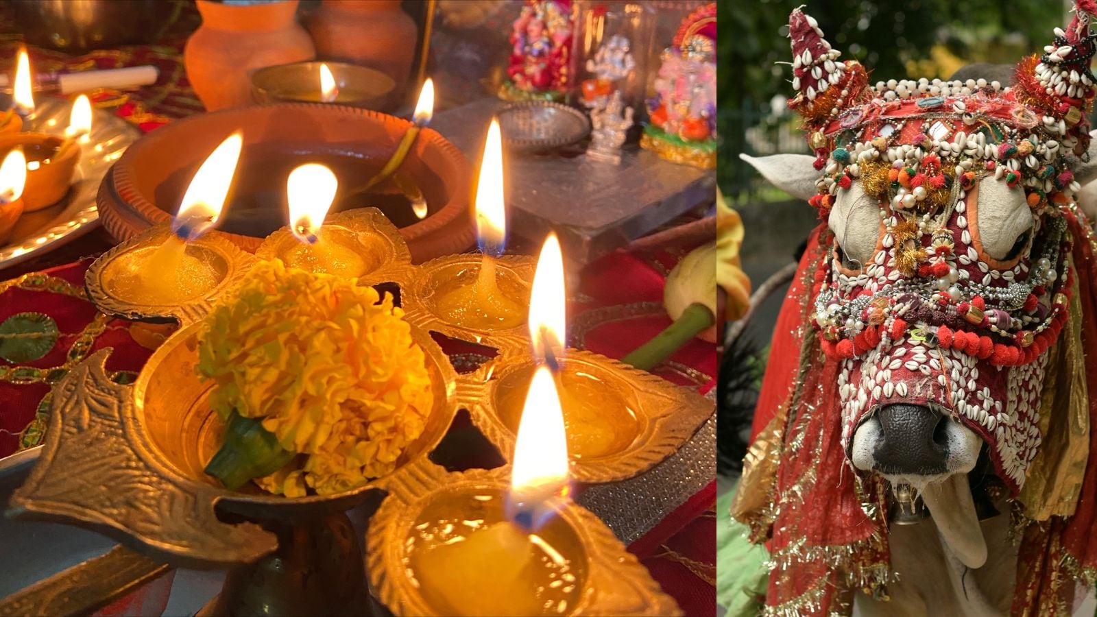 Seven Villages Unite To Celebrate A Historic Ritual In Karnataka | India News - News18