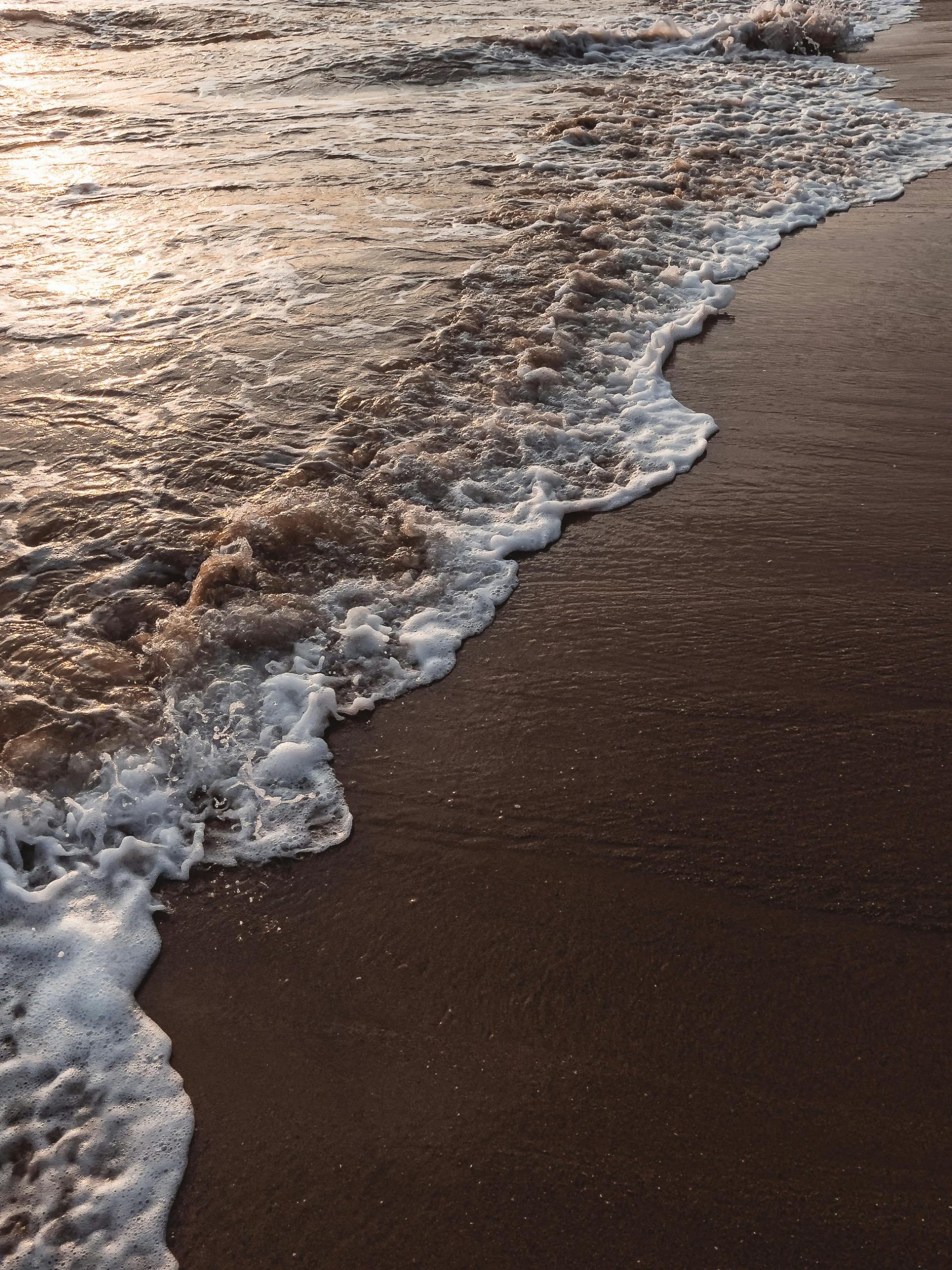 From the laid-back shores of Kerala to the breezy beaches of Karnataka, here are 5 surfing destinations that offer the perfect wave—and vibe. From the laid-back shores of Kerala to the breezy beaches of Karnataka, here are 5 surfing destinations that offer the perfect wave—and vibe.