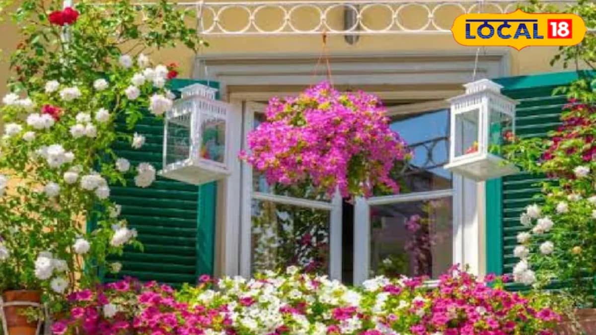 Home Gardening Tips: 5 Beautiful And Fragrant Flowers For Your Balcony
