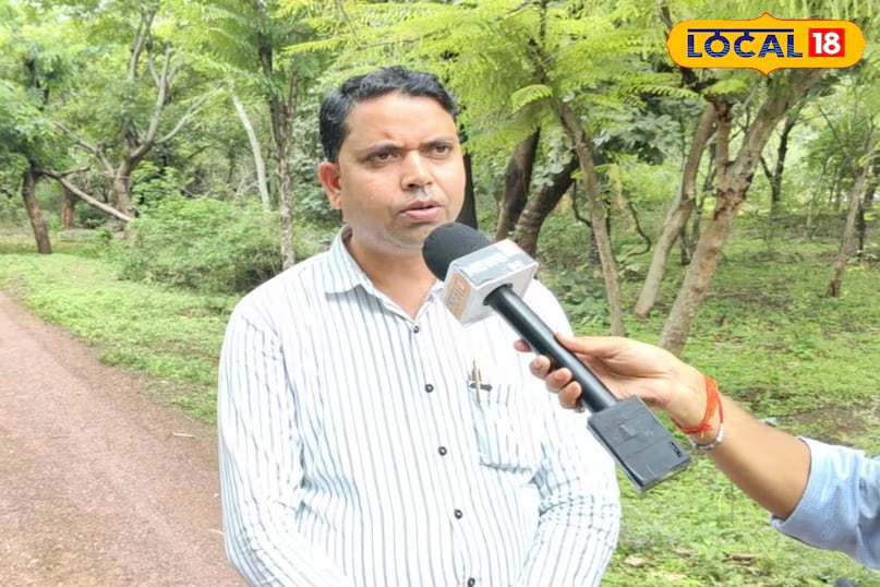 डॉ। अहिर्वर रासायनिक और जैविक तरीकों के माध्यम से गाजर घास को नियंत्रित करने का सुझाव देते हैं। हर्बिसाइड जैसे कि सिमज़ीन, एट्राजीन, अलक्लोर, ड्यूरोन सल्फेट और सोडियम क्लोराइड प्रभावी हैं। जैविक रूप से, बीटल को एक एकड़ से संक्रमित भूमि को कवर करने के लिए पाला जा सकता है। कैसिया तोरा, मैरीगोल्ड, टेफ्रोसिया पुरपुरिया और वाइल्ड अमरैंथ जैसे पौधे भी इसके विकास को दबा सकते हैं। (News18 हिंदी)