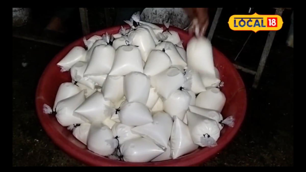 Real Milk vs Fake Milk: Use This Desi Formula To Spot Adulteration