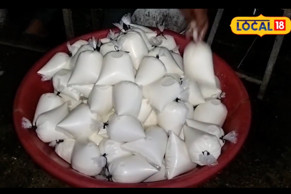 Real Milk vs Fake Milk: Use This Desi Formula To Spot Adulteration