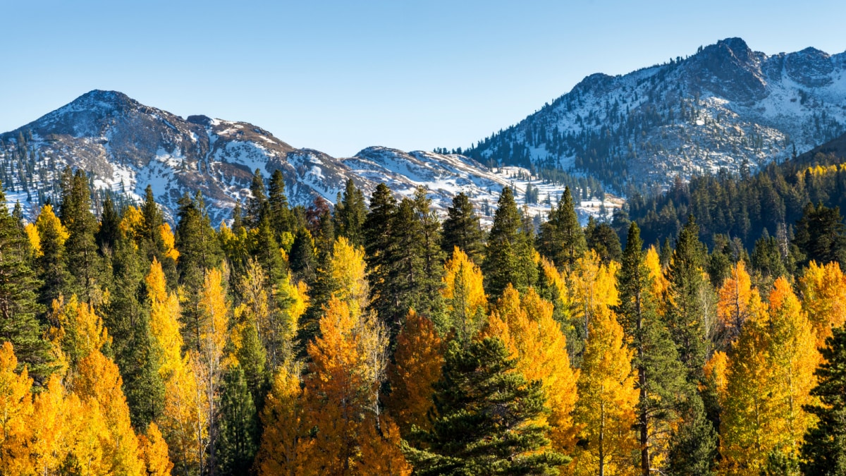 Lake Tahoe: Experiencing Fall's Magical Seasons