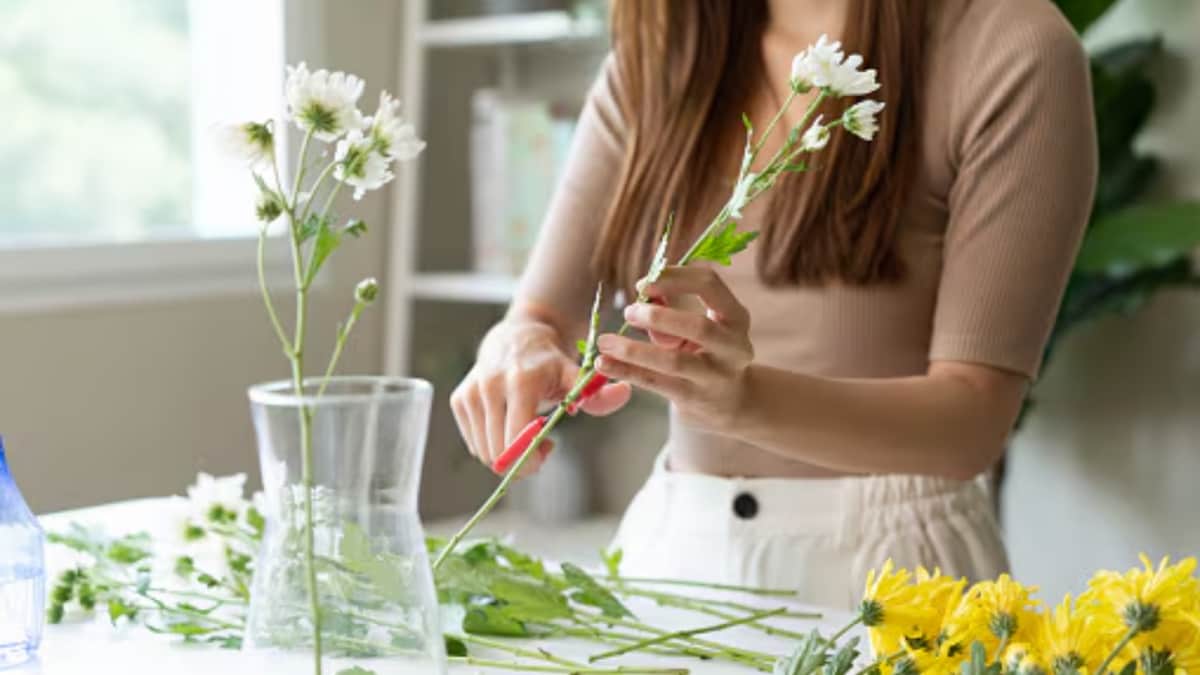 Simple Changes, Big Impact: Easy Decor Updates to Transform Your Home This Season | Lifestyle News