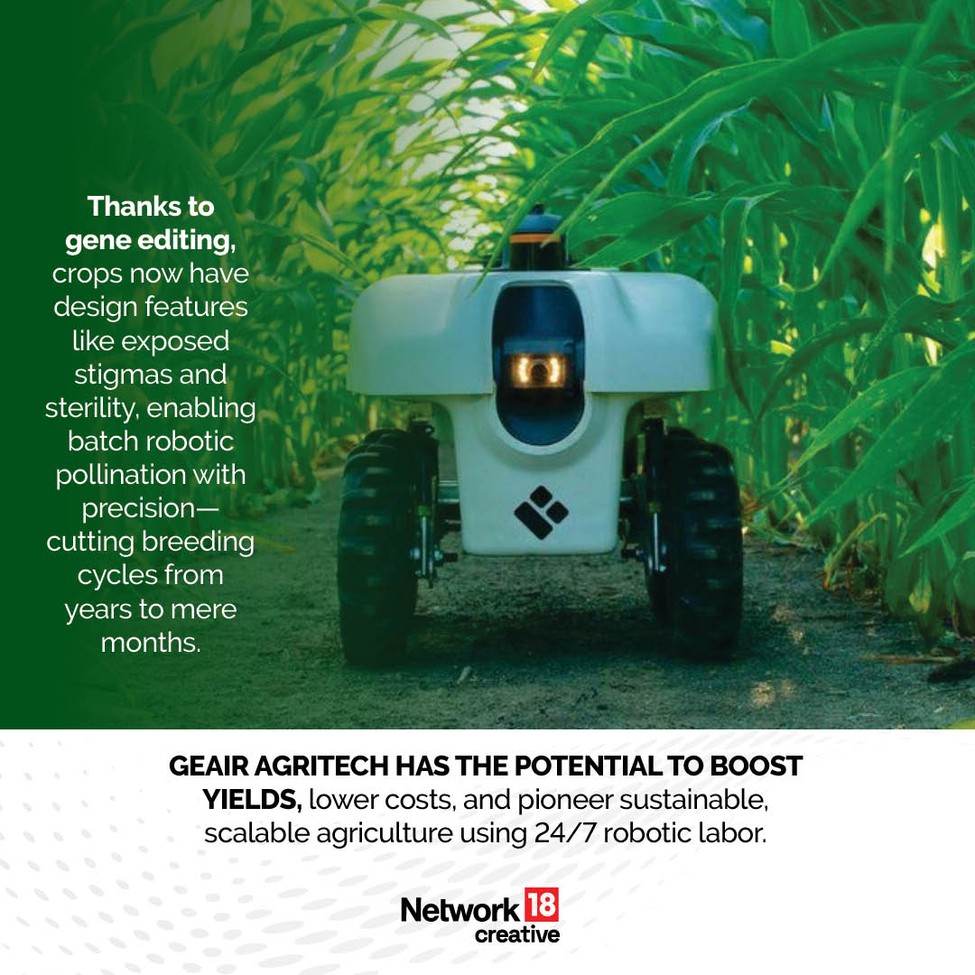 From Humanoid Gestation To GEAIR Crop Breeder: China's Futuristic ...