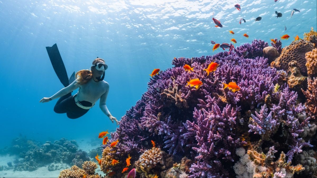 Beyond Riyadh And Jeddah: Exploring Saudi Arabia’s Red Sea Frontier
