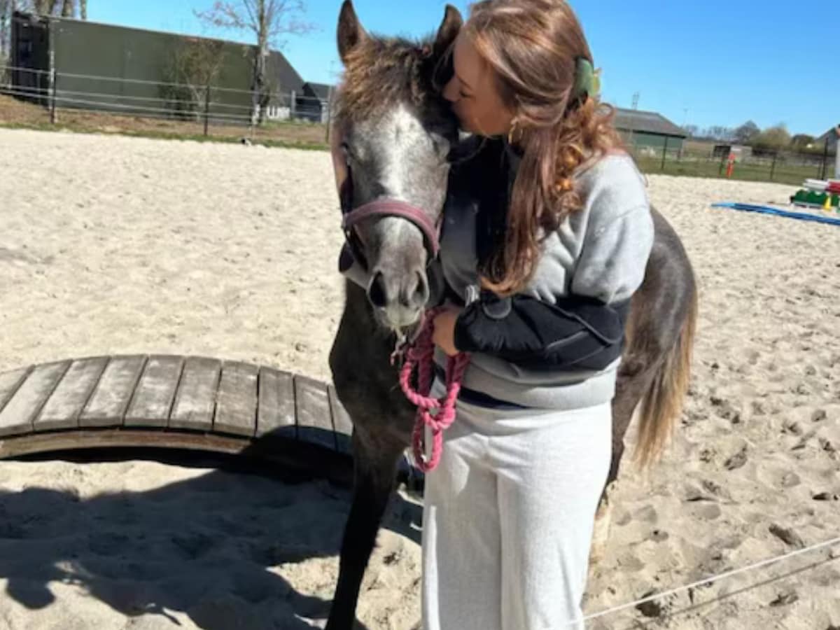 This Mother Donated Her Teen Daughter's Pet To The Zoo, They Fed It To The  Lions | Viral News - News18