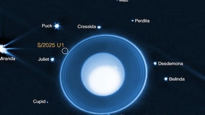The new moon orbits about 35,000 miles (56,000 kilometers) from Uranus’ center. 