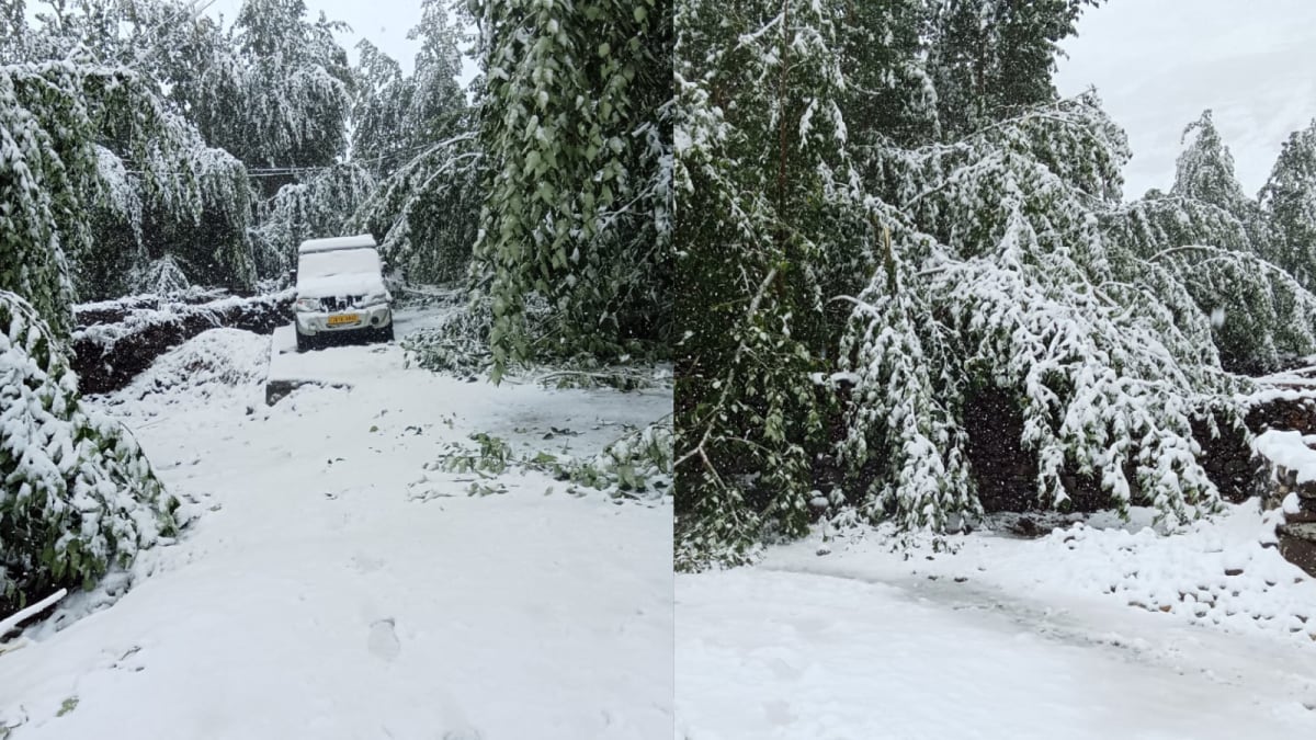 Swathed In White: Ladakh Sees Rare August Snowfall, Khardung La Shut Amid Travel Advisory