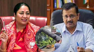 The sharp attack and counterattack underline continuing rancour between the BJP and the AAP. (File)