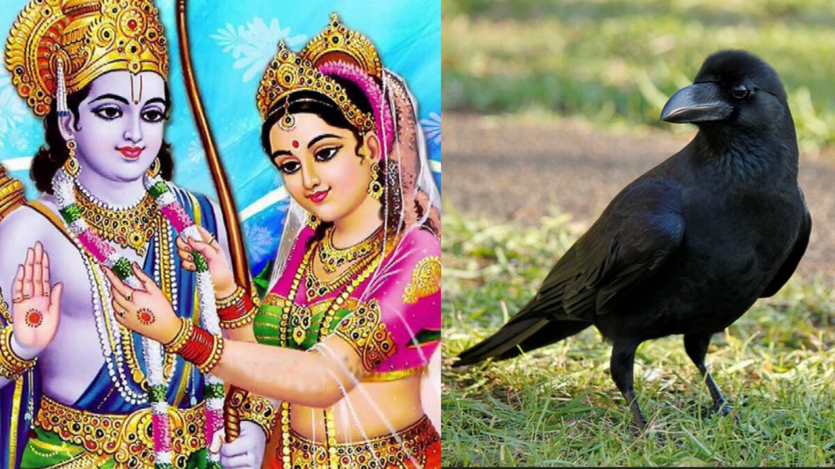 Fake Bihar Certificates Filed Under Gods and a Crow