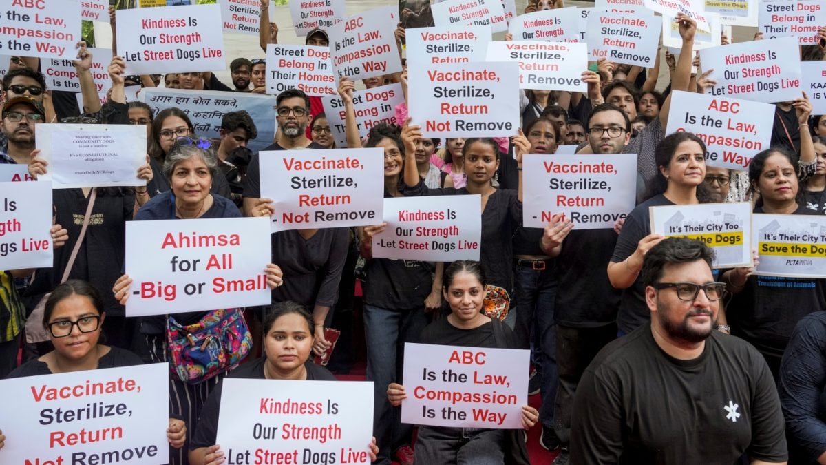 Supreme Court Dubs Previous Order To Permanently Confine Stray Dogs In Shelters ‘Too Harsh’