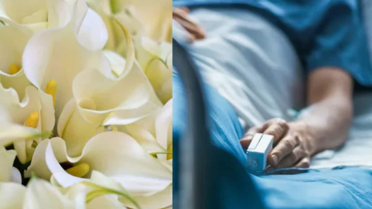 Nurse 'Dies' From Allergy, Recalls Afterlife Meeting With Loved Ones