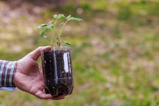 Prepare the bottle: Cut the plastic bottle horizontally about one-third from the bottom. You will use the bottom part as the planting pot. If you want, poke a few small holes at the bottom for drainage. (Image: Freepik)