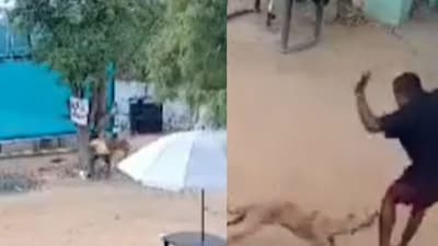 Stray Dog Attacks 8-Year-Old Boy, Father Outside Their House
