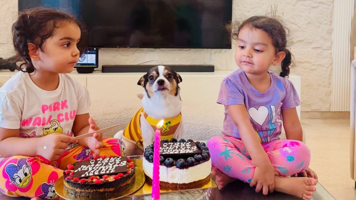 Debina Bonnerjee Celebrates Pet Dog Pablo's Sixth Birthday