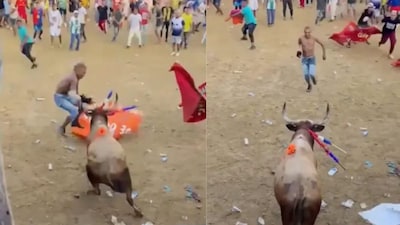 Man fatally gored after taunting a bull in Colombia.