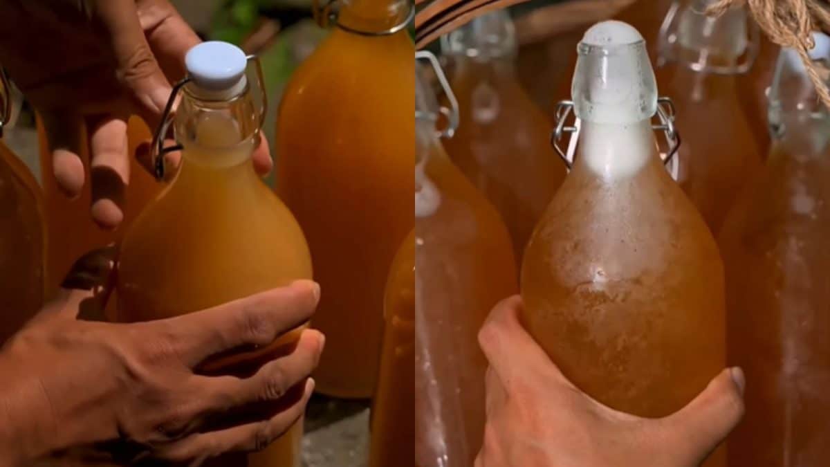 Here’s The Perfect Recipe To Make ‘Pahad Ki Beer’ At Home & Enjoy The Buzz