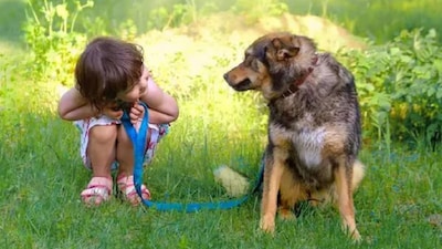 The penalty for walking a dog without a leash has been raised to Rs 1,000. 