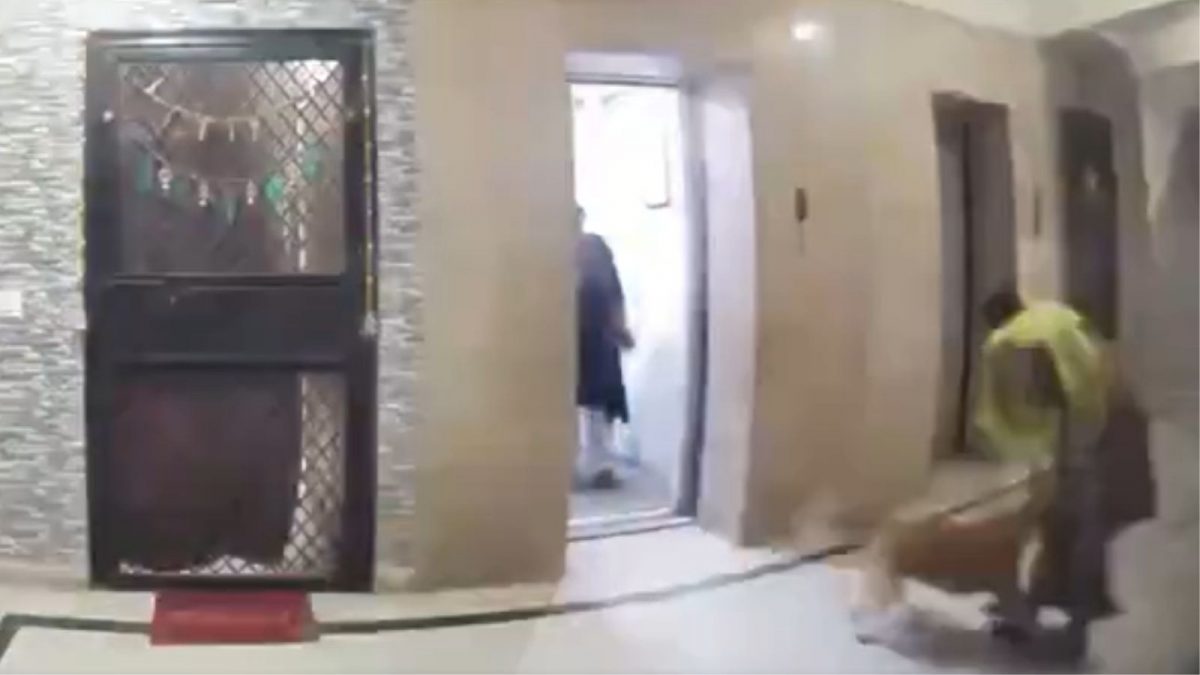 Woman Injured After Pet Dog Attacks Her In Ghaziabad Society, CCTV Footage Emerges