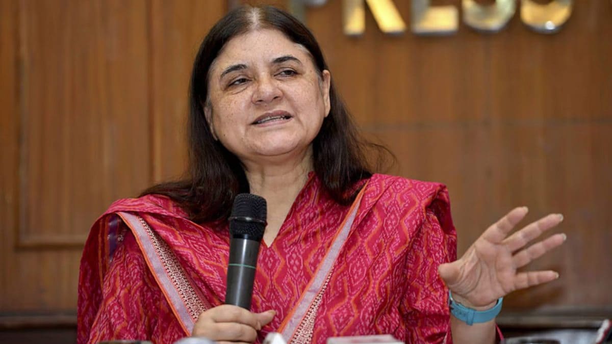 ‘Who Decides A Stray Dog Is Aggressive?’: Maneka Gandhi Reacts To Modified SC Verdict