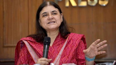Maneka Gandhi Reacts To Modified SC Verdict (PTI/File)