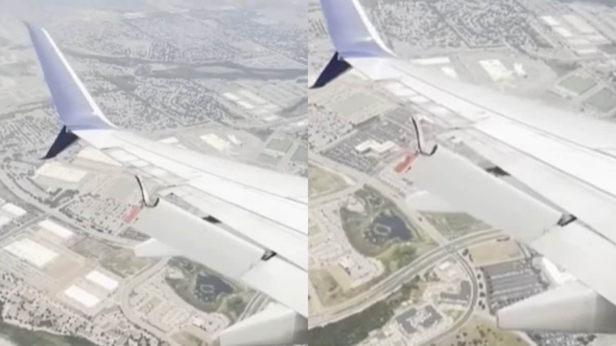 What’s A Wing Flap And How Did This Delta Flight Survive After It Came Off At 12,000 Feet?
