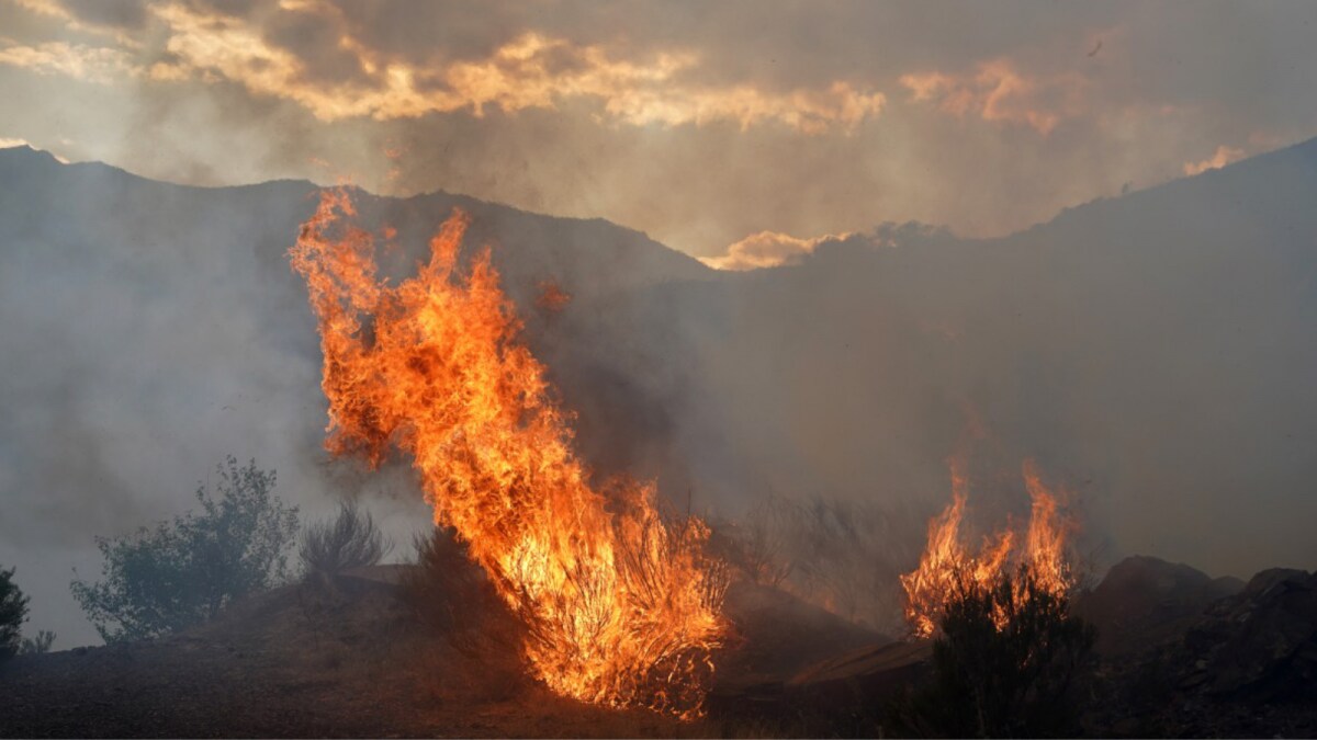 With Over 400,000 Hectares Burned, Spain Wildfires Mark Worst Season Since 2006