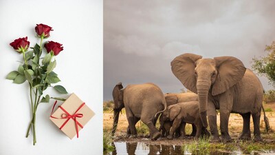 How One Husband Turned His Wife’s Birthday Into A Celebration For