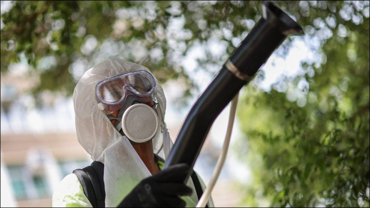 China's War On Mosquitoes To Eradicate Chikungunya Revives Covid Lockdown Memories: Report