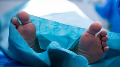 Image used for representation